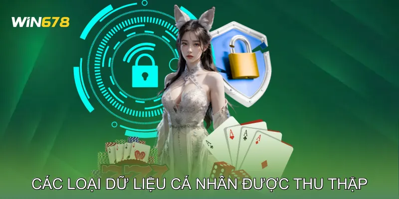 Các Loại Dữ Liệu Cá Nhân Được Thu Thập